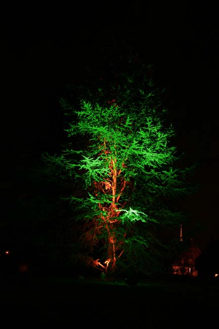 Arbre en lumière LED 03