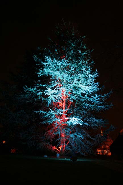 Arbre en lumière LED 07