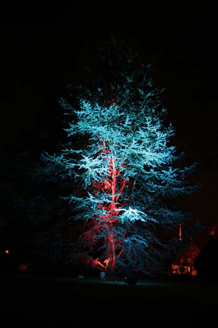 Arbre en lumière LED 08