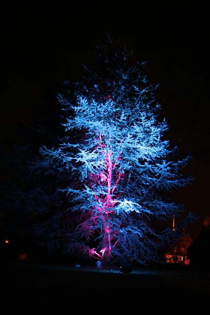 Arbre en lumière LED 09