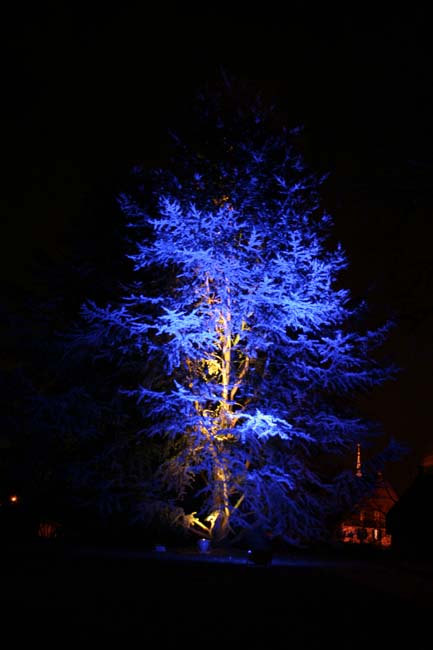 Arbre en lumière LED 11