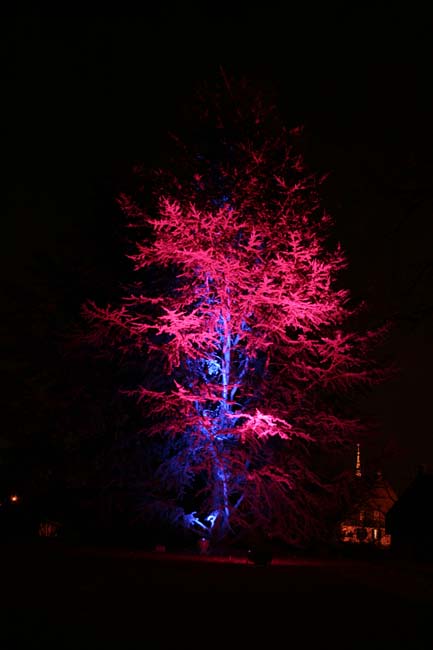 Arbre en lumière LED 19