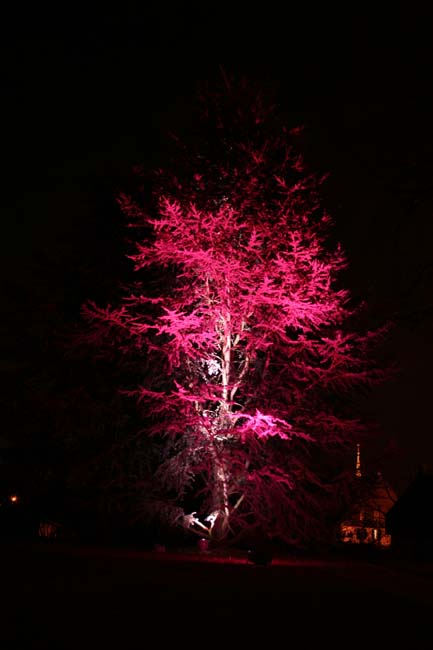 Arbre en lumière LED 22